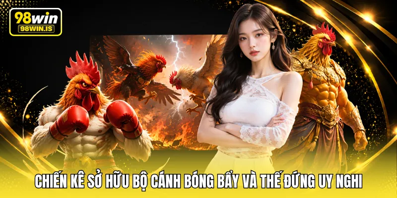 chien ke so huu bo canh bong bay va the dung uy nghi Chiến kê sở hữu bộ cánh bóng bẩy và thế đứng uy nghi